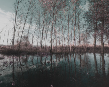 Park of Pateira de Fermentelosの写真素材