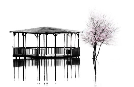 Park of Pateira de Fermentelosの写真素材