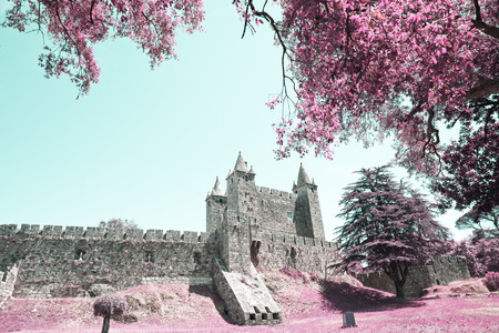Castle of the Santa Maria da Feiraのeditorial素材