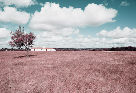 Landescape of Alentejoの写真素材