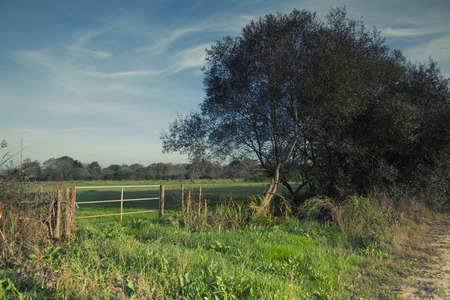 The Pateira Fermentelos is a pond in the area of Aveiro in Portugal. Here we can find old fishing boats and beautiful landscapes with water lilies and birds.の写真素材