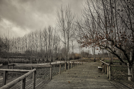 Park of tabueira,Aveiro Portugalの写真素材