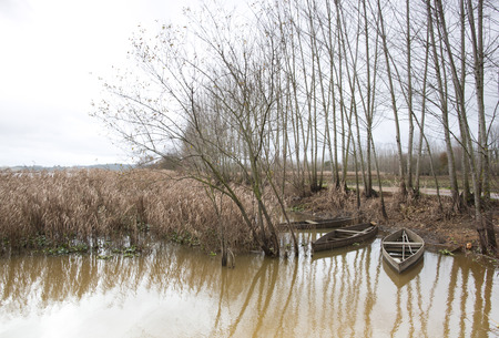 Park of tabueira,Aveiro Portugalの写真素材