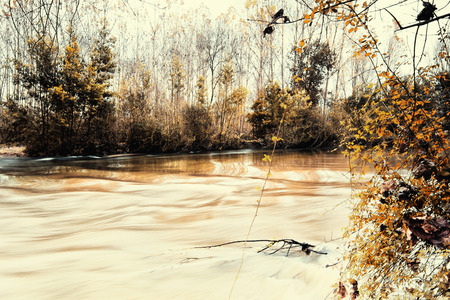 Park of Pateira de Fermentelosの写真素材