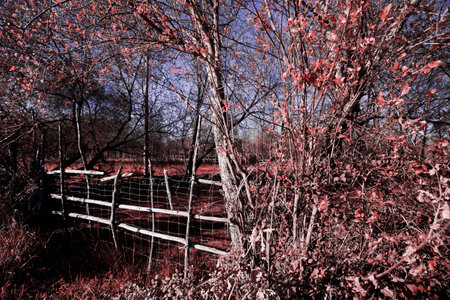 park of the city,europa Portugalの写真素材