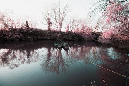 park of the city,europa Portugalの写真素材