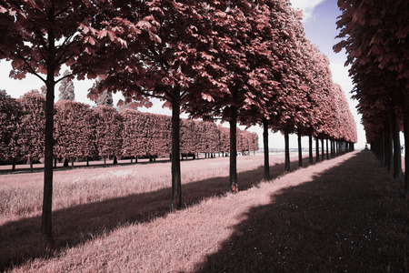 Park of the cityの写真素材