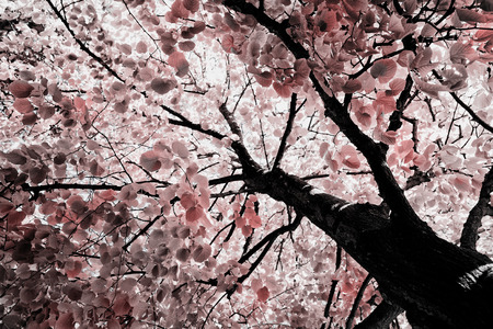 Park of the cityの写真素材