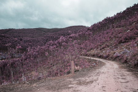 Mountain of Arouca Portugalの写真素材