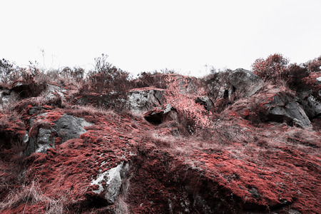 Mountain of Arouca Portugalの写真素材