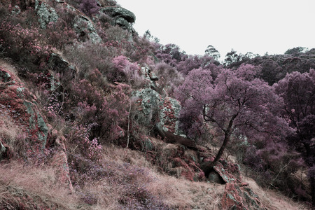 Mountain of Arouca Portugalの写真素材