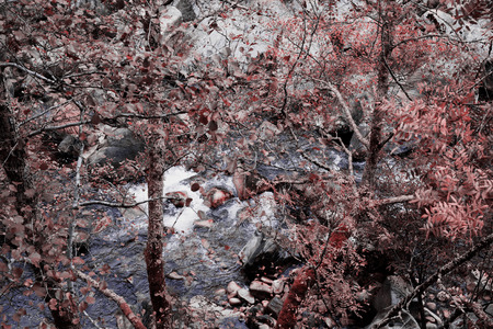 Mountain of Arouca Portugalの写真素材