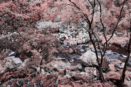 Mountain of Arouca Portugalの写真素材