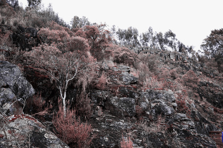 Mountain of Arouca Portugalの写真素材