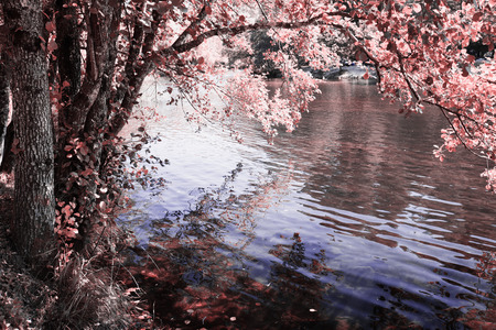 Park of Pateira de Fermentelos,Portugal.の写真素材