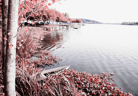 Park of Pateira de Fermentelos,Portugal.の写真素材