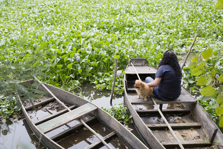 Park of Pateira de Fermentelos,Portugal.の写真素材