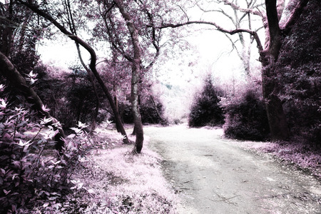 Park in europa Portugalの写真素材