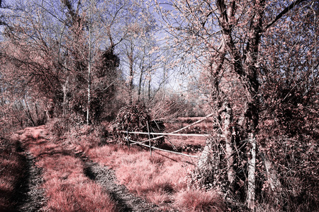 Park of Pateira de Fermentelos,Portugal.の写真素材