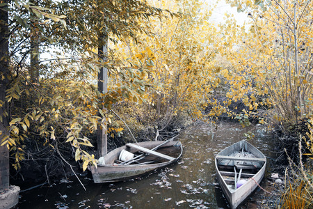 Park of Pateira de Fermentelos,Portugal.の写真素材