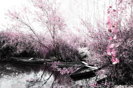 Park of Pateira de Fermentelos,Portugal.の写真素材