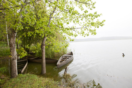 Park of Pateira de Fermentelosの写真素材