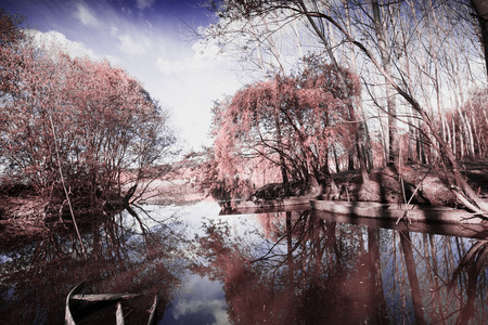 Park of Pateira de Fermentelosの写真素材