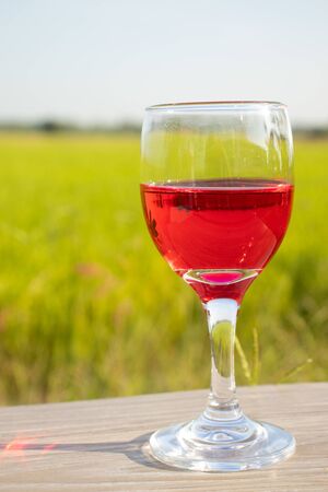 glass with red wine in rice field gardenの写真素材