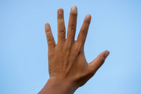 isolated hand and palm in many positionの写真素材