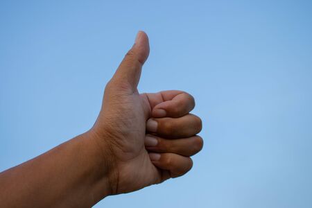 isolated hand and palm in many positionの写真素材