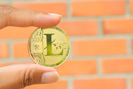 bitcoin litecoin and cryptocurrency coin on brick wall backgroud