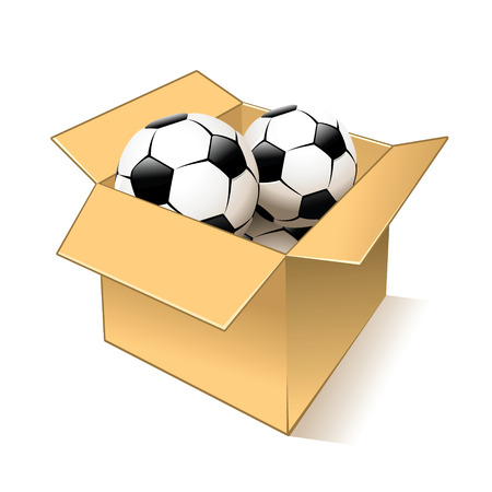 Realistic balls in carton boxのイラスト素材