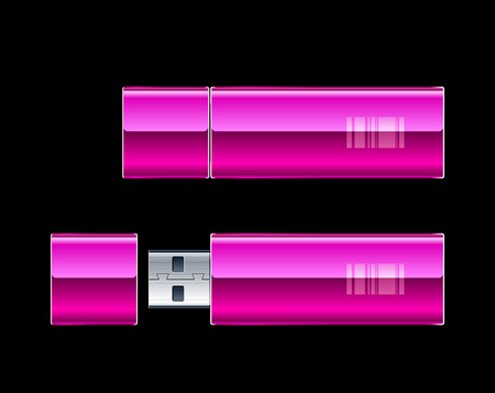 Two USB Flash Drives. Vector illustration. のイラスト素材