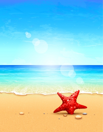 Seascape vector illustration  Paradise beach のイラスト素材
