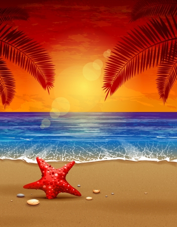 Sea sunset vector illustration  Paradise beach のイラスト素材