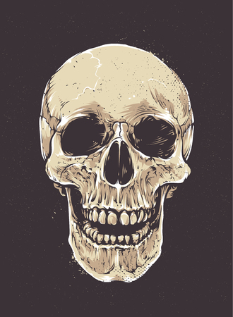 Anatomic Grunge Skull Vector Art. Detailed hand drawn illustration of skull on dark background. Colored version. Tattoo style skull art. Grunge weathered illustration.のイラスト素材
