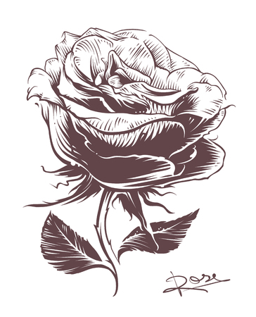 Vintage hand drawn rose. Vintage style vector flower. Line art. Engraving style rose illustration.のイラスト素材