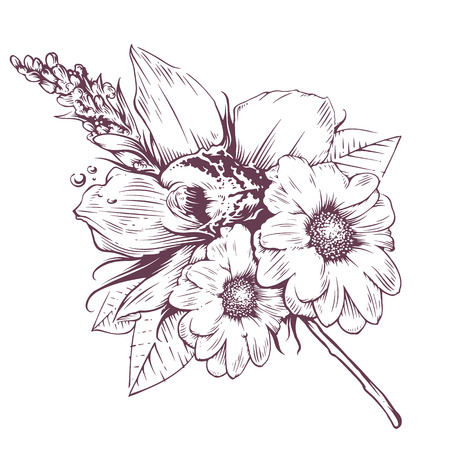 Vintage vector flowers. Orchid and chamomile flowers with leafs. Old fashioned style flowers art. Vintage floral illustration.のイラスト素材