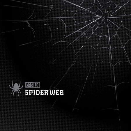 Vector spider web on black halftone background. Hand-drawn spider web. Vector art.のイラスト素材
