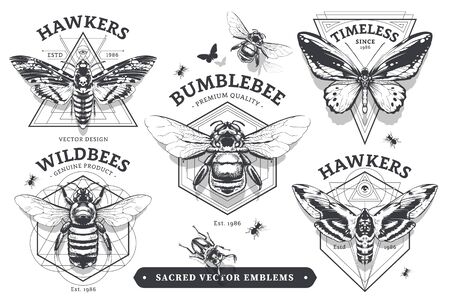 Set of vintage emblems with geometric shapes and insects. Abstract sacred emblems collection. Vector illustrations.のイラスト素材