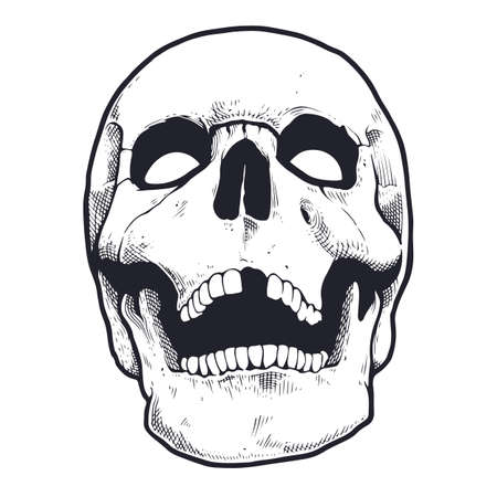 Engraving Style Skull With Open Mouth. Black and white vector illustration of skull looking mad. Vector object isolated on white.のイラスト素材