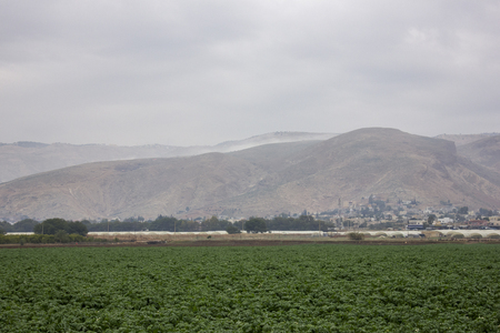 Farm and vegetable gardens and greenhouses near the dead seaの写真素材