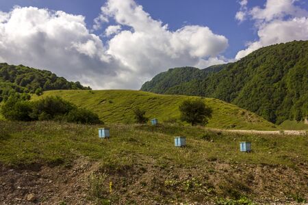 Russian region, Chechen Republic, Caucasus Mountains Wooden hives on a mountain apiaryの写真素材