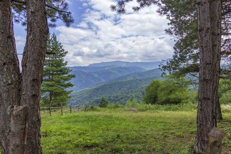 Shira Bena Yurt cultural and ethnographic complex Russian region, Chechen Republic, Caucasus Mountains mountains view between treesの写真素材
