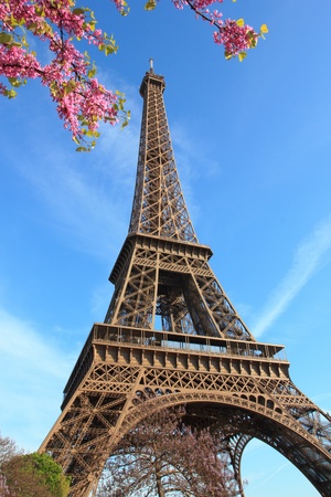 Eiffel Tower in Paris France with cherries and blue skyの写真素材
