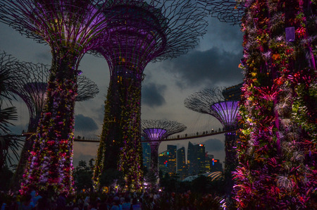 Super Treesのeditorial素材