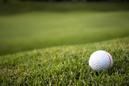 golf ball on green grass , and green backgroundの写真素材