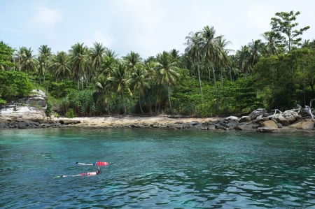snorkel in the seaの写真素材