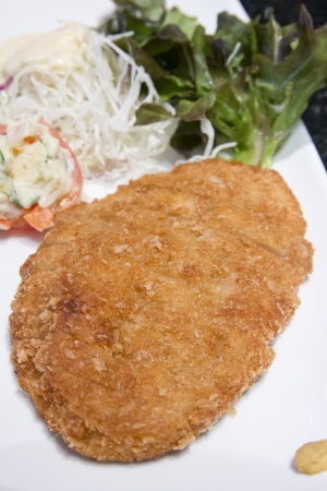 deep fried pork, japanese foodの写真素材