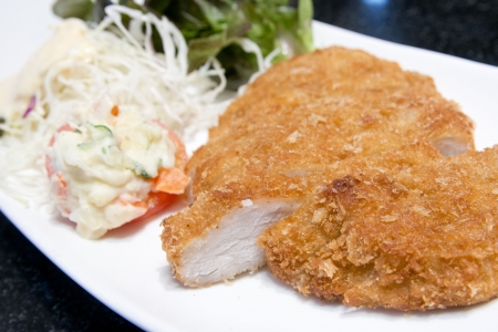 deep fried pork, japanese foodの写真素材